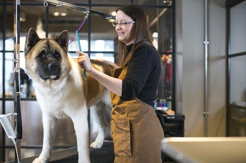 Growf opportunity: Pets at Home revealed a dedicated ‘doggy boutique’ called Barkers that will be rolled out if successful.