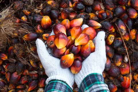 palmoil