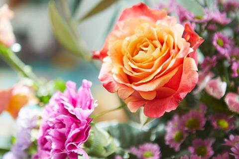 Bloom & Wild bouquet of orange and pink flowers