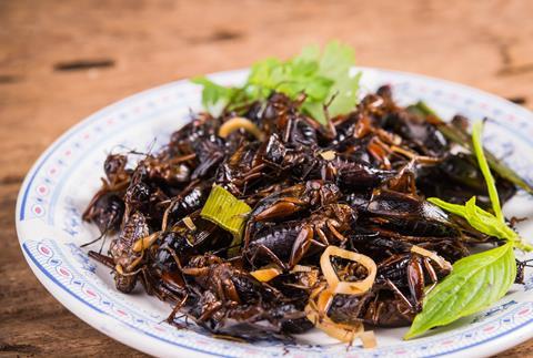 Edible insects 1