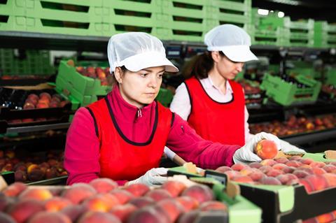 food warehouse workers