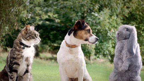 Pets at Home