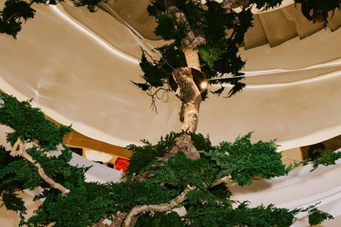 Tree inside Alo store