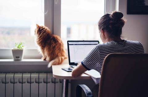 Woman-working-from-home-with-cat