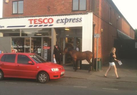 Caption competition: Time for some retail horseplay