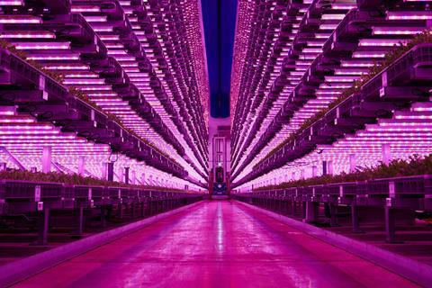 Baz-&-Co-vertical-farm