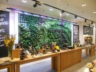 Lush_living_Wall