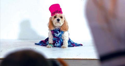 Truth or spoof? American Eagle launches fashion range for pets