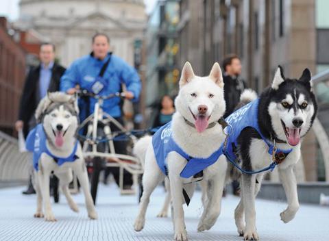 CitySprint has hired some new furry team mates to ensure it can deliver, whatever the weather