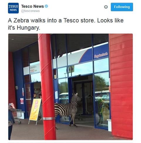 Tesco zebra Hungary