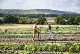 Grocery giants join calls for new PM to introduce ‘Good Food Bill’
